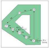 9. Irudia: Aldi argitsu zikloduna. Mota honetan fotosistema bakarrak hartzen du parte. Elektroiek �jauzi� bakarra jasaten dute, fotoiaren energiak eraginda, eta abiapuntu zuten klorofila xedera itzultzen dira.<br><br>